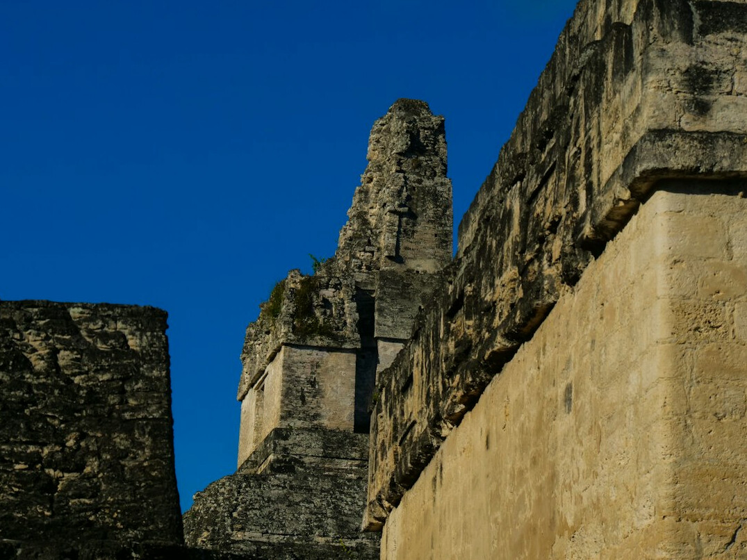 mayan ruins jungle