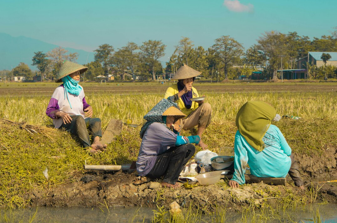 archaeologists examining artifacts in field