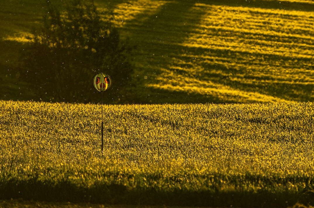 ufo over field